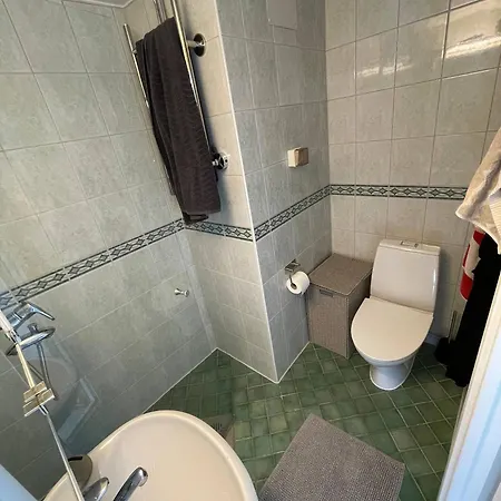 Kaunis Yksioe Parvekkeella Apartamento *